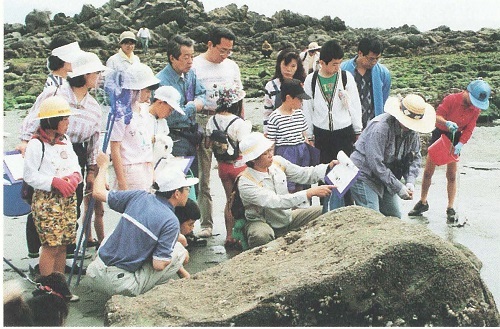 野外自然かんさつ「磯の動物」の様子