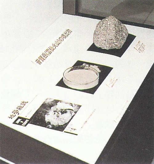 新しい展示コーナー