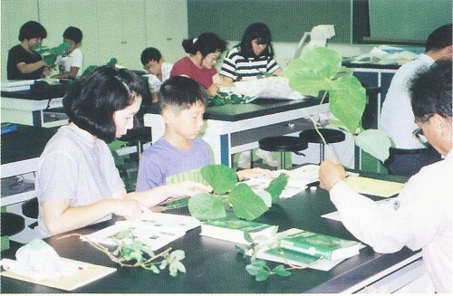 草や木の名前の調べ方