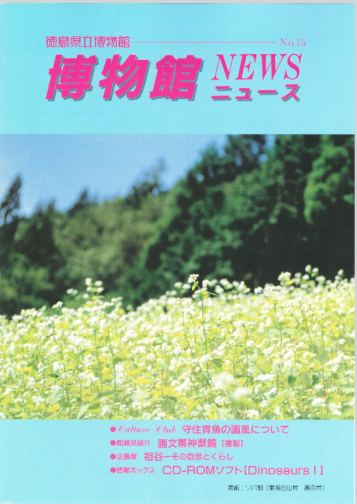 ソバ畑（東祖谷山村）
