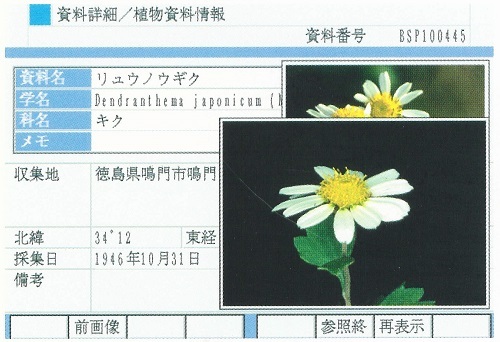 図1植物資料の詳細画面。写真も表示されます。