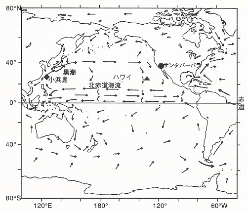 図6.太平洋の海流。ビンが投げ込まれだ位置（▲） と漂着しだ位置（◆）