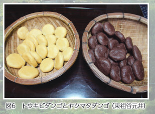図６トウキビダンゴとヤツマタダンゴ（東祖谷元井）