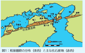 図1：和泉層群の分布（茶色）と主な化石産地（赤色）