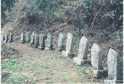 図 3 大滝山のミ二八十八力所