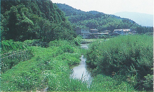 図 1 スナヤツメ笠息地。小松島市田浦町。