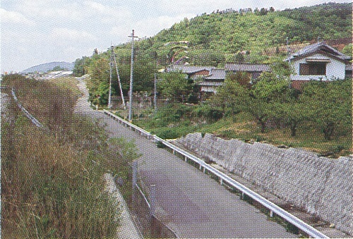 図 3 低位段丘を切る低断層崖。左側は徳島自動車道工事で新しくできた土手 （甫場町上喜来）