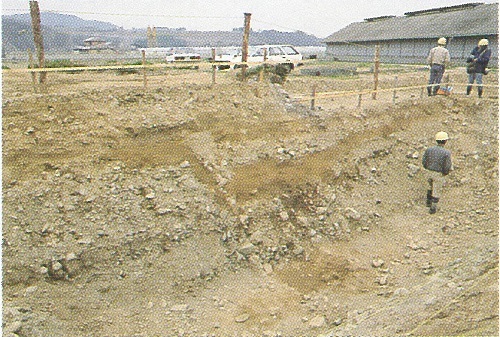 図4トレンチ調査で現れた父尾断層の新しい活動の跡。右（南）側が1mあまり落ち込んでいる。