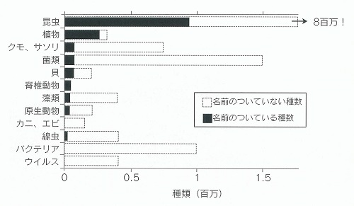 図 2 主なグル プにおける種数。毘虫がダン トツ で多いことがわかる。 Hammond(1995）を改変。