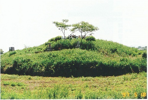 土成丸山古墳見学中の様子１