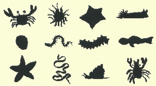 図4 代表的な生きものの影絵。上段左よ り、イソガ二 、イソギンチャク、イ 卜マキヒトデ、ウミウシ。中段左より、力サガイ 、ゴ力イ 、ナマコ、ハゼ。下段左より、ヒトデ、ヒモムシ、 マキガイ、 モガ二。