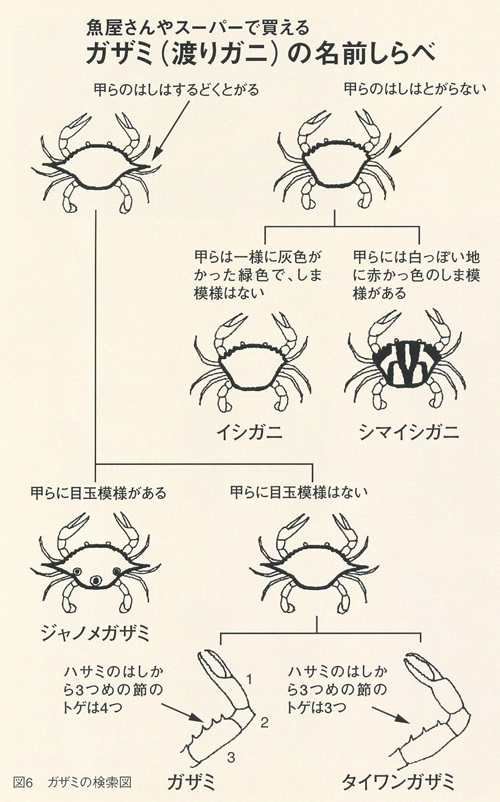 図6ガザミの検索図