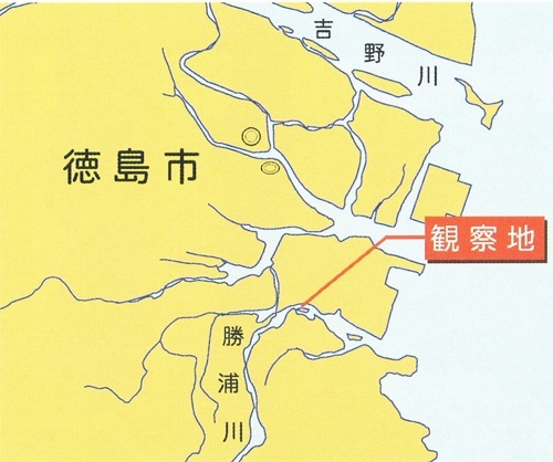図1観察地の場所