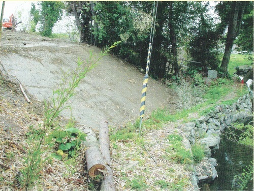 図1土に埋まったタコノアシ生育地（2002年4月9日）