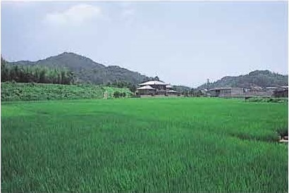 図2盆地の北側を通る園瀬川の堤防（下中筋地区）。寺山北側の鞍部に川を導いている。