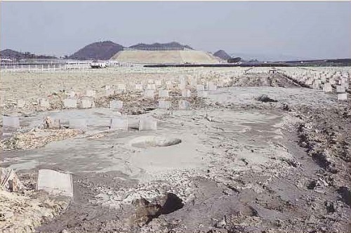 図３ 阪神淡路大震災の時に生じた噴砂（鳴門市里浦）。この時の噴水は高さ2mにも達したとのこと。（1995年1月20日撮影）