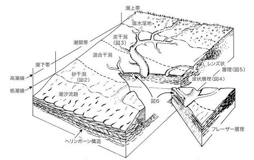 図１ 干潟の模式図（Dalrymple, 1992を改変、加筆）