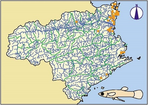図2徳島県におけるカダヤシの分布