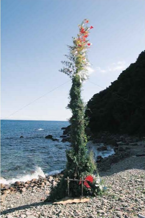 図3竹ヶ島のヤマ(2007.1.14)