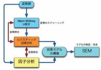 図2調査結果の解析の手順の例