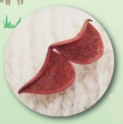ヌスビトハギ。ひっつき虫の代表のひとつ