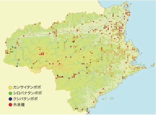 予備調査で得られた徳島県のタンポポの分布