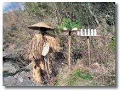 図３ オムイカ（六日）の蓑笠（みのかさ）人形（美波町赤松）：死後 6 日目につくって川原に立て、自然に川に流れるまでおいておく死者供養（くよう）の人形。