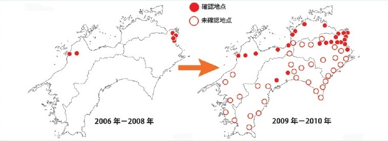 図２ 四国におけるヘクソカズラグンバイの分布状況 加藤・山田（2010）より