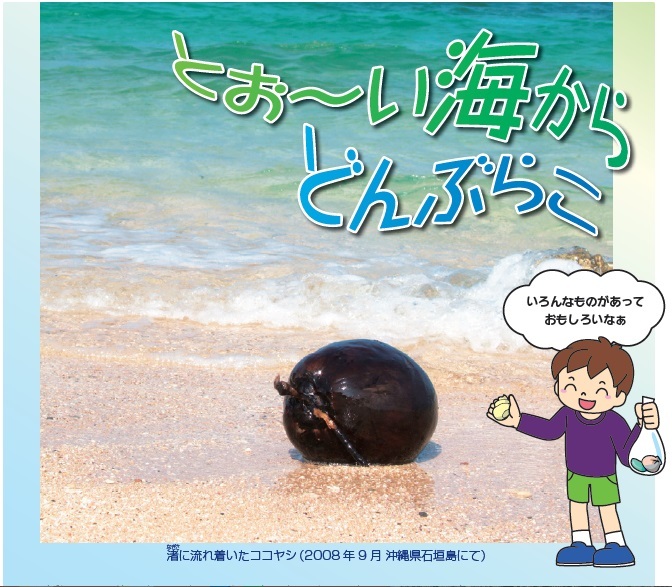 渚に流れ着いたココヤシ（2008 年 9 月 沖縄県石垣島にて）