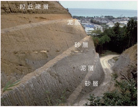 図１ 農道工事で現れた穴内層。砂層と泥層が交互にくり返している。上位の地層は数万年前の段丘礫層。