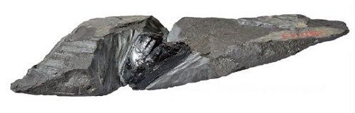 イグアノドン科恐竜の歯化石