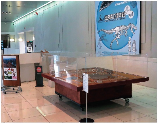 図 1 常設展の入口付近に展示している「徳島藩江戸上屋敷」の模型（制作 徳島県立徳島工業高等学校）