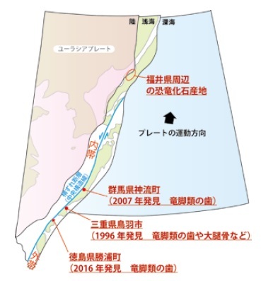 図5 約1 億3000万年前の日本列島※（図は平 朝彦（1990）岩波新書「日本列島の誕生」の掲載図に加筆）