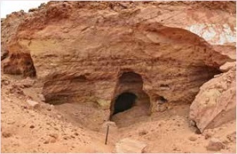 図3 化石発掘のために掘られた穴