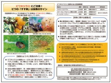 図5 ビワキジラミの注意喚起用リーフレット