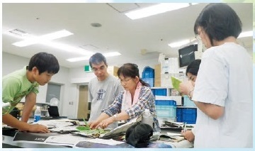 図3 自分の調べた植物について教えあう。
