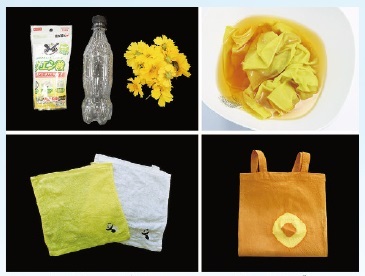 図 4 草木染めで用意するもの。ク工ン酸、ペットボトル、オオキンケイギクの花（左上）。ク工ン殴で描出した染色液に布をつける（右上）。黄色く染まった木綿のハンカチと無染色のハンカチ（左下）。ク工ン酸姻出液で染色後、重習で、アルカリ化して二重染色した工コバッグ（右下）。