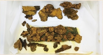  2 脱塩処理中の鉄斧 （古墳時代徳島市節句山2号墳出土）脱塩処理の薬剤を溶かした水に浸して、塩化物イオンを溶出します。安定するまでは、時聞がかかります。