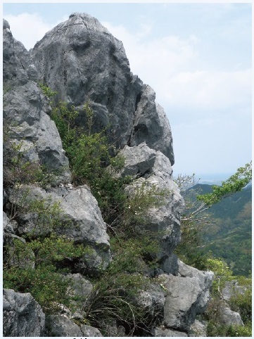 図1石灰岩の露頭