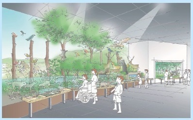 徳島の自然とくらしの展示イメージ