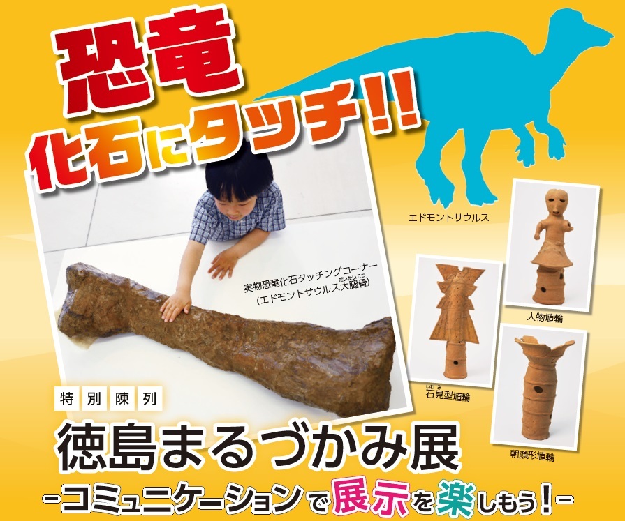 恐竜化石にタッチ！