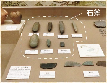 図1 旧常設展における石斧の展示風景