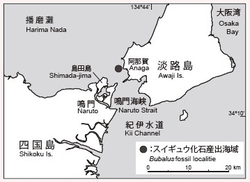 図3 化石の発見場所