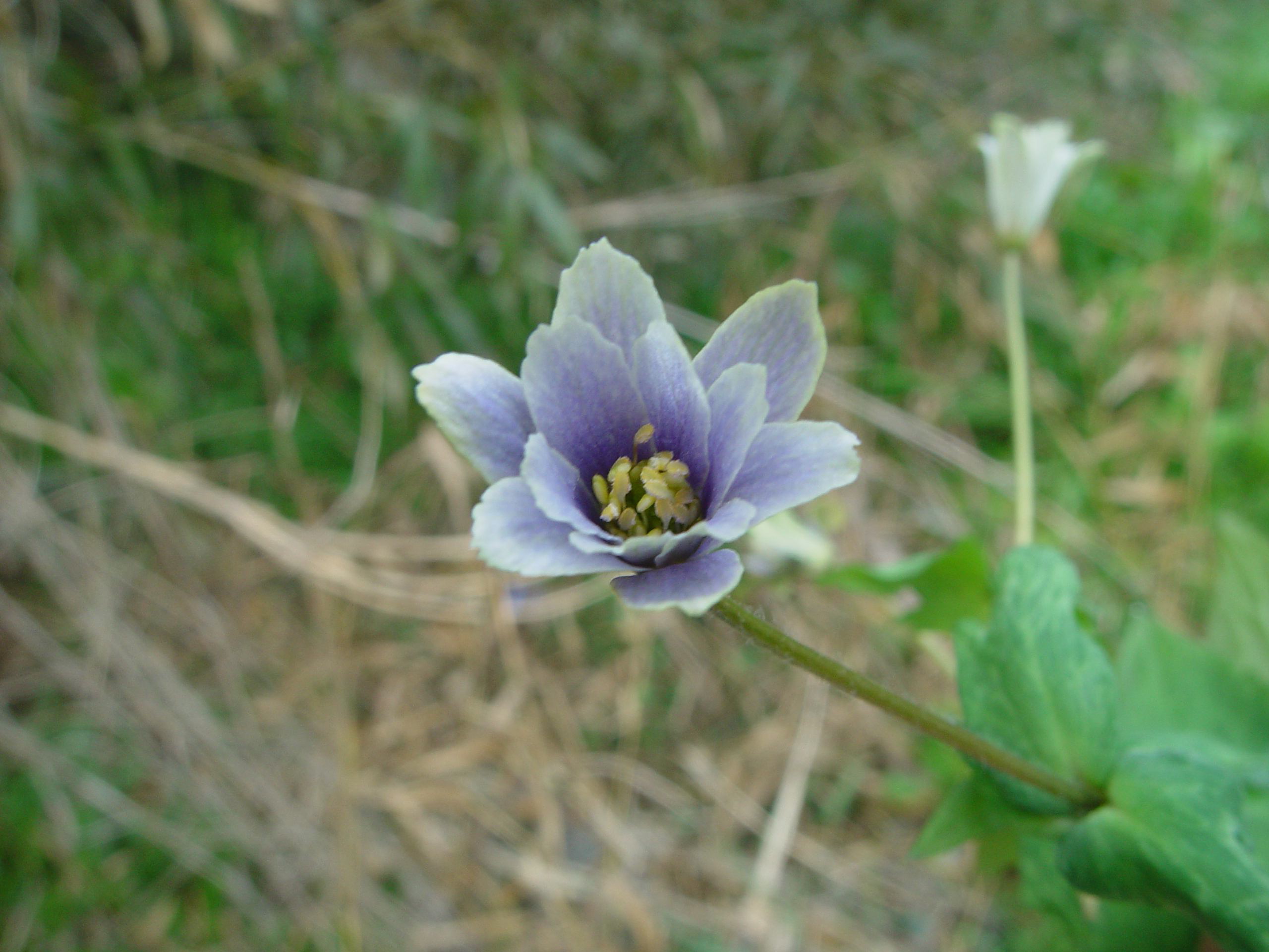 DSC00961