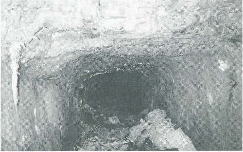 図2. 突貫工事で掘られた地下壕（1993年1月11日撮影、 阿南市教育委員会提供）
