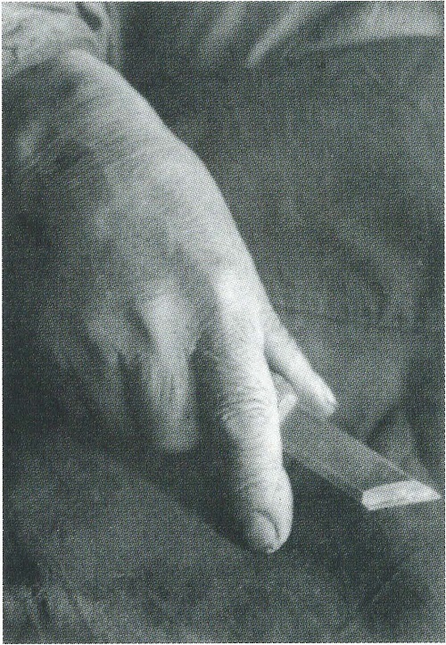 図4 野島画伯が撮影したと考えられる初代天狗久の手