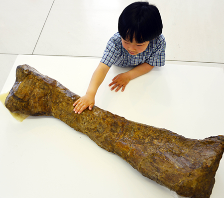 タッチコーナー