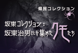 県民コレクション