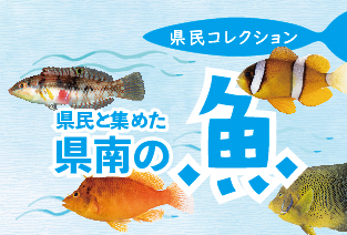 県民コレクション