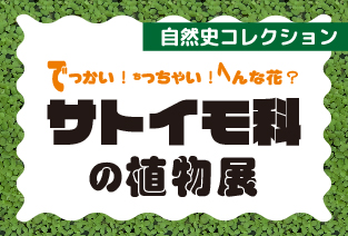 常設展